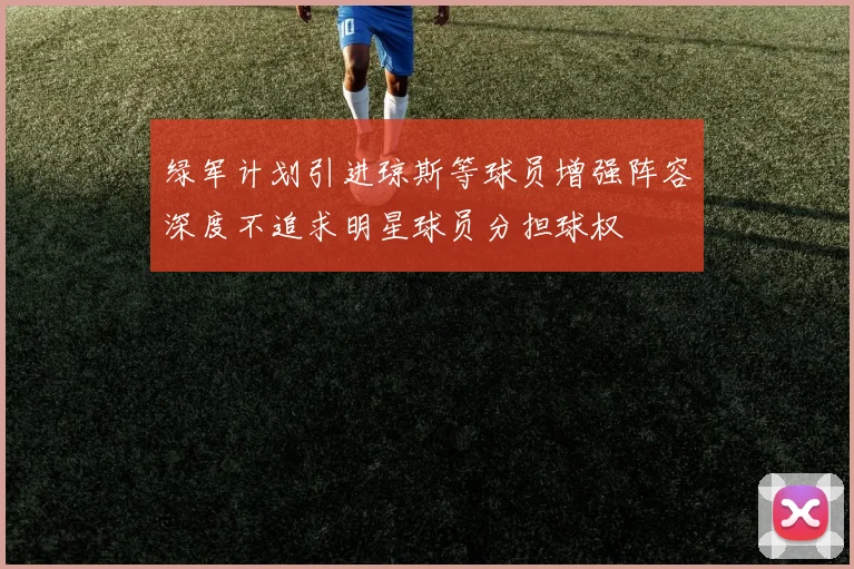 绿军计划引进琼斯等球员增强阵容深度不追求明星球员分担球权